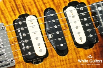 NV-3-24-AL-VTR - Bengal Burst #S2006141